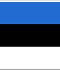 Estonia Flag 1.5 Yard